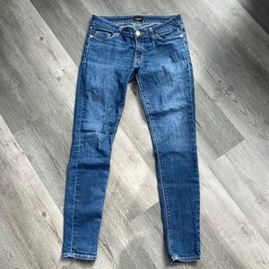 Hudson Jeans Blue Denim Skinny Jeans | Size 28